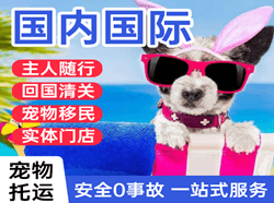 梅州梅县机场邮寄国际宠物托运 【国